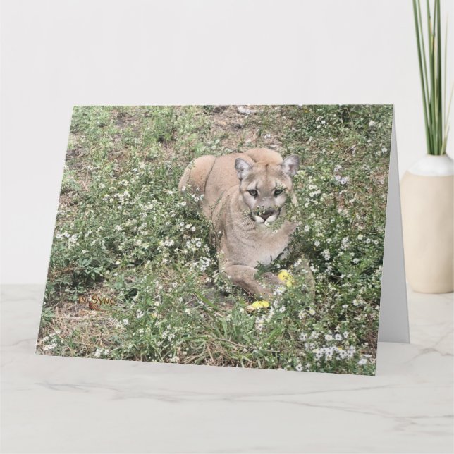 Malice ist eine schöne Karte (Vorderseite)