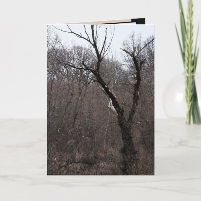 Malificent Baum Karte (Vorderseite)