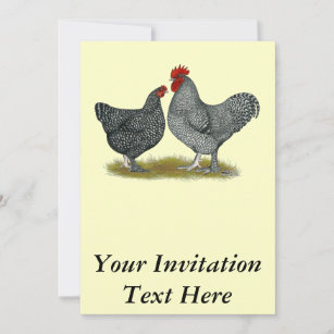 Maline Chickens Einladung