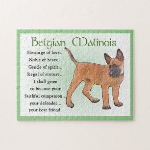Malinois Art