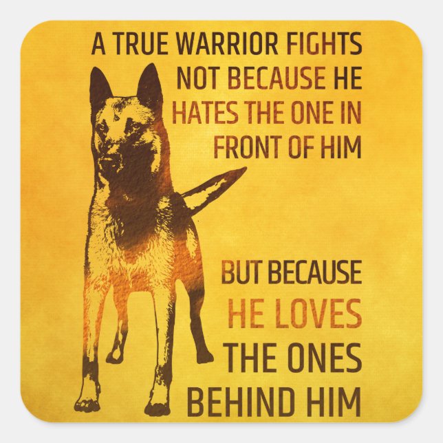 Malinois - Belgischer Hirte - Mechelaar - Maligato Quadratischer Aufkleber (Vorderseite)