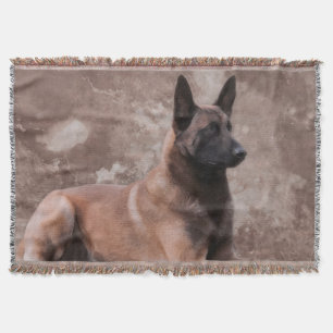 Malinois belgischer Schäfer - Mechelaar Decke