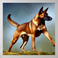 Malinois Belgium Shepherd Dog