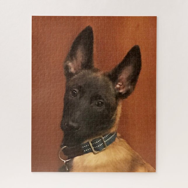 Malinois Dog (Vertikal)