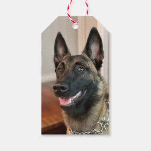 Malinois Dog Geschenkanhänger