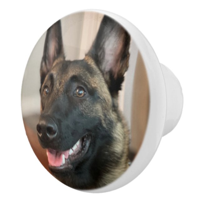 Malinois Dog Keramikknauf (Rechts)