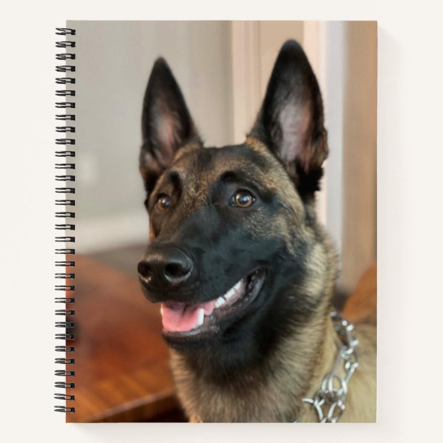 Malinois Dog Notizbuch (Vorderseite)