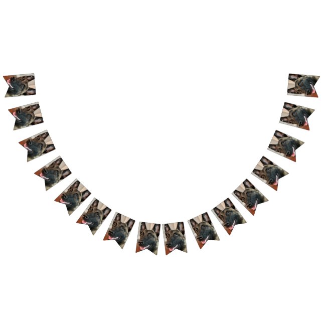 Malinois Dog Wimpelkette (Alle)