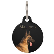 Malinois
