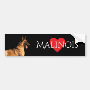 Malinois HundeAutoaufkleber Autoaufkleber