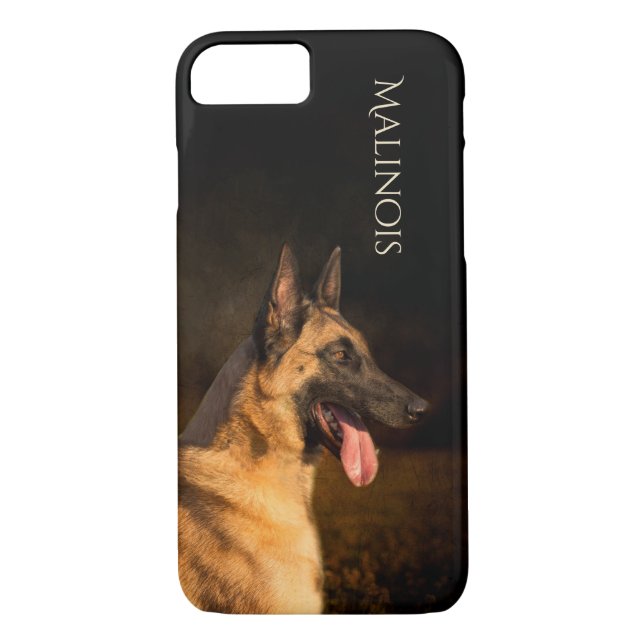 Malinois Hundetelefon-Kasten Case-Mate iPhone Hülle (Rückseite)
