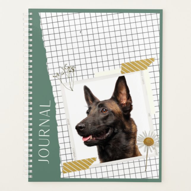 Malinois  planer (Vorderseite)