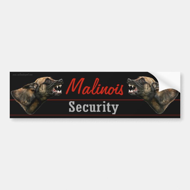 Malinois Sicherheits-Autoaufkleber Autoaufkleber (Vorne)