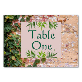 Malkstein Grüne Ivy Hochzeit Tischnummern