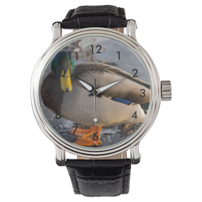 Mallard auf Eis Armbanduhr (Vorderseite)