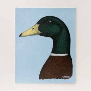 Mallard Drake Head