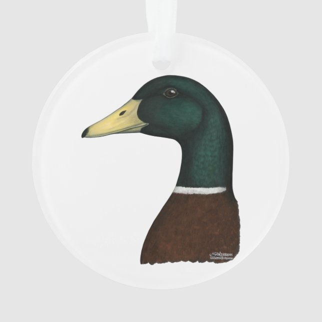 Mallard Drake Head Ornament (Rückseite)