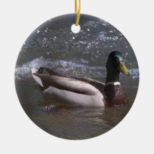 Mallard Drake Keramik Ornament
