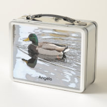 Mallard Drake