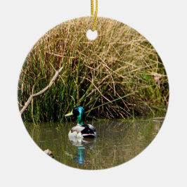 Mallard Drake Ornament