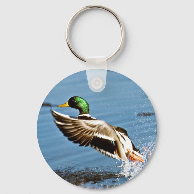 Mallard Drake Schlüsselanhänger (Vorderseite)