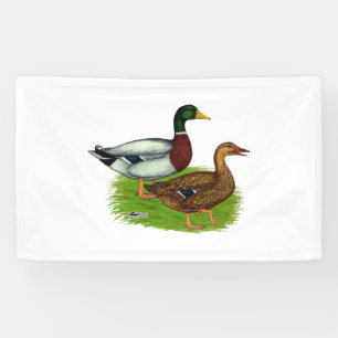 Mallard Drake und Duck Banner