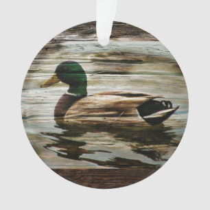 Mallard Duck