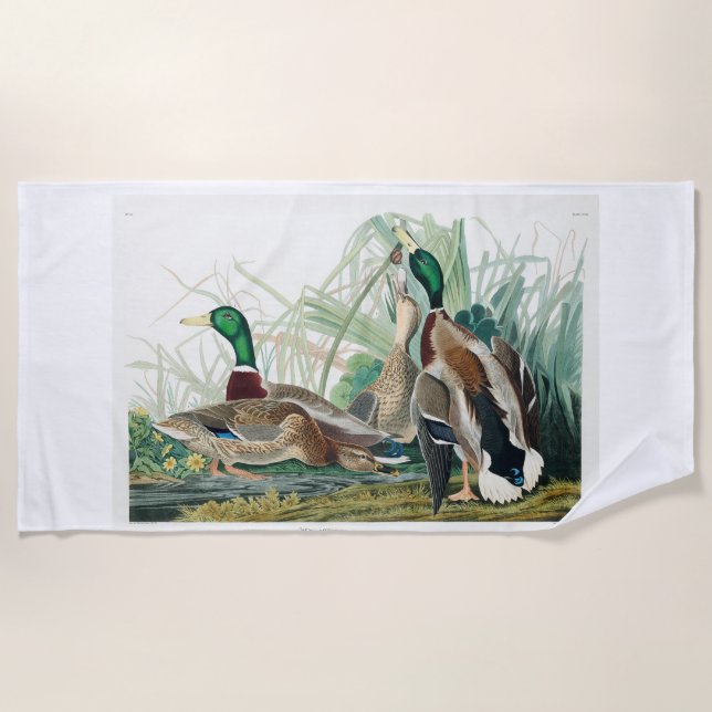 Mallard Duck, 1834, From the Birds of America Strandtuch (Vorderseite)