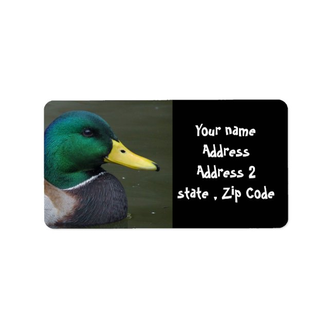 Mallard Duck Adressaufkleber (Vorne)