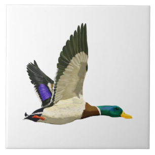 Mallard Duck Artful Fliese