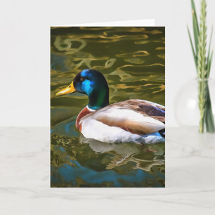 Mallard Duck Artistic Portrait Karte