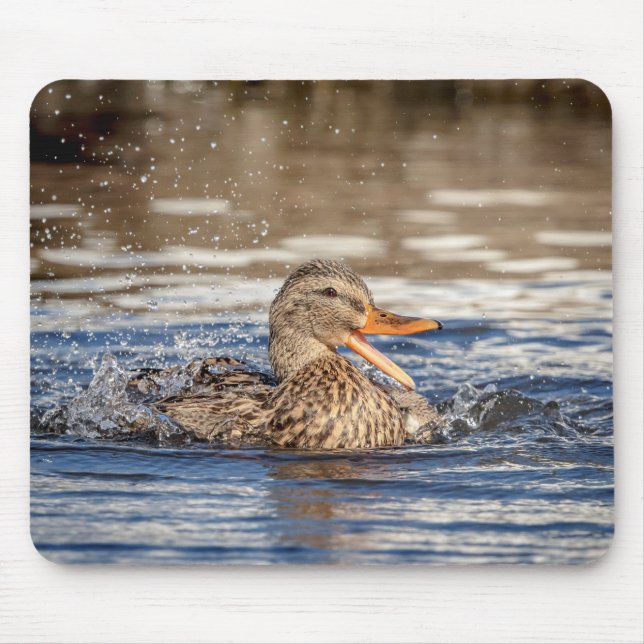Mallard Duck at Downing Park Mousepad (Vorne)