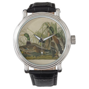 Mallard Duck Audubon Bird Malerei Armbanduhr