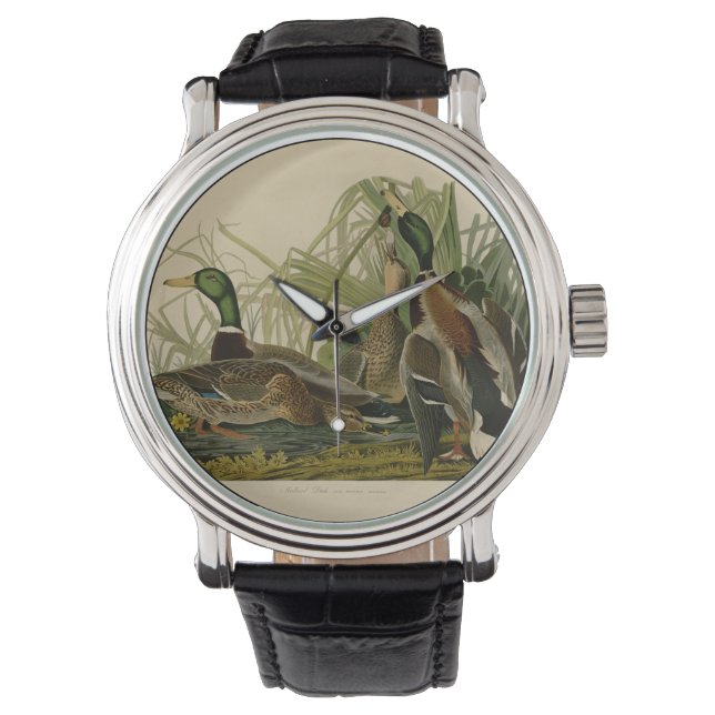 Mallard Duck Audubon Bird Malerei Armbanduhr (Vorderseite)