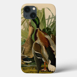 Mallard Duck Audubon Bird Malerei Case-Mate iPhone Hülle