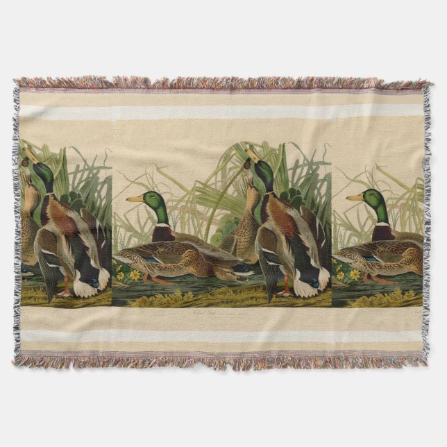 Mallard Duck Audubon Bird Malerei Decke (Vorderseite)