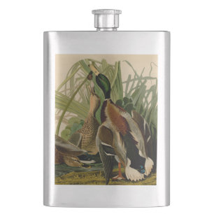Mallard Duck Audubon Bird Malerei Flachmann