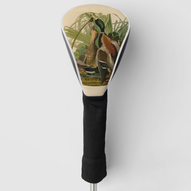 Mallard Duck Audubon Bird Malerei Golf Headcover (Vorderseite)