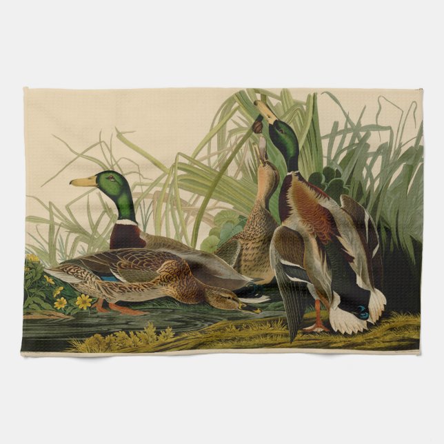 Mallard Duck Audubon Bird Malerei Handtuch (Horizontal)