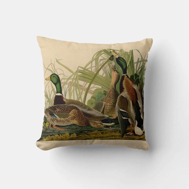 Mallard Duck Audubon Bird Malerei Kissen (Vorderseite)