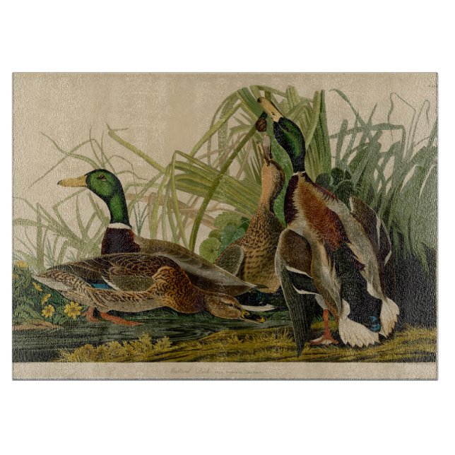 Mallard Duck Audubon Bird Malerei Schneidebrett (Vorderseite)
