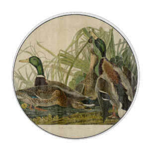 Mallard Duck Audubon Bird Malerei Schneidebrett