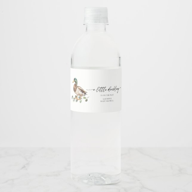 Mallard Duck Baby Duck (Vorderseite)