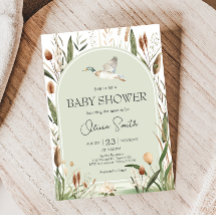 Mallard Duck Baby Duck