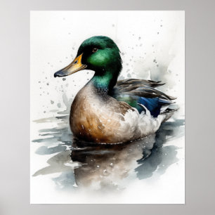 Mallard Duck Bird Art Print Poster