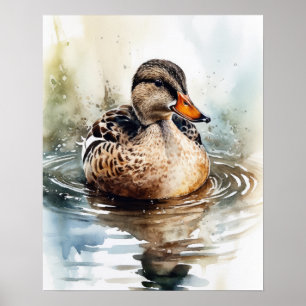 Mallard Duck Bird Art Print Poster