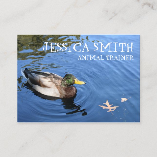 Mallard Duck Bird Blue Water Nature Fotografy Visitenkarte (Vorderseite)