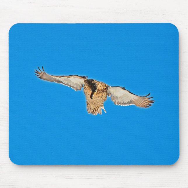 Mallard Duck Birdlover Wildlife Foto Mousepad (Vorne)