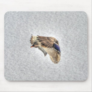 Mallard Duck Birdlover Wildlife Foto Mousepad