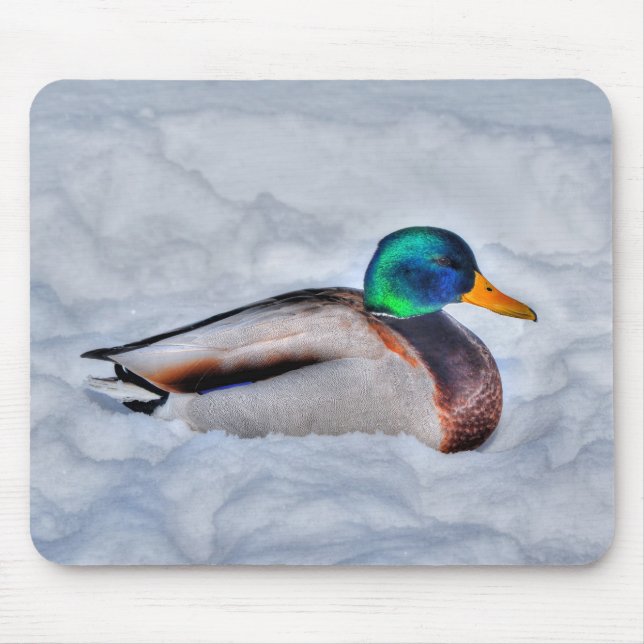 Mallard Duck Birdlover Wildlife Foto Mousepad (Vorne)
